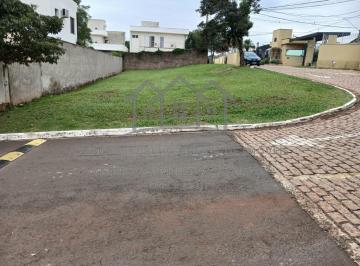 Terreno · 390m² · Lote / Terreno para venda em Vila Hollândia de 390.00m²