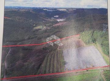 Rural · 115521m² · Chácara com 11,52 Hectares na Linha Palmeiro