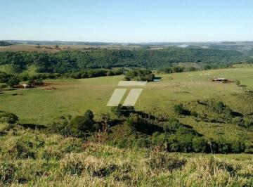 Imagem 1 · Sítio para venda em Guaraniaçu