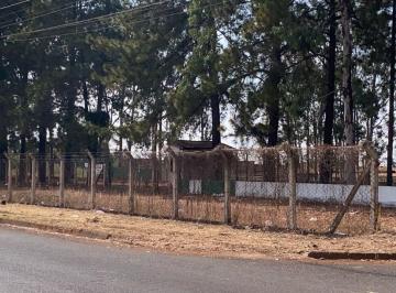 Imagem 1 · Terreno para venda e aluguel em Cidade Jardim (Prolongamento