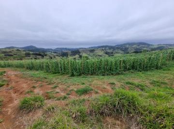 Terreno , Munhoz · Terreno de 19000 m² à venda em Munhoz