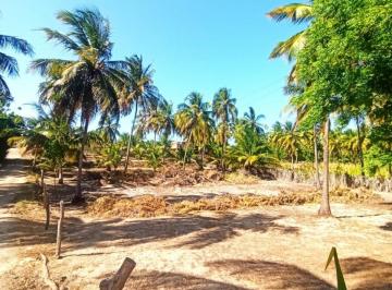 Terreno · 1800m² · Oportunidade para Investidores: Lote Amplo em Icaraizinho de Amontada