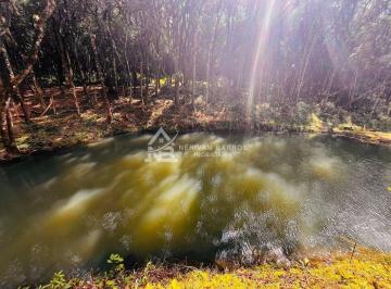Rural · 196m² · 3 Quartos · 3 Vagas · Chácara 3 quartos Marmeleiro (Piraquara) com 5.000m² de área total e churrasqueira