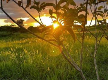 Terreno , Ibiúna · ** Seu Terreno de 1.000m² Pode Estar em Ibiúna! Condição Especial de Lançamento**
