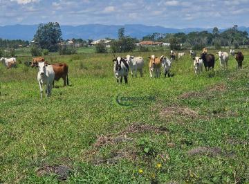 Imagem 1 · Fazenda para venda em Triângulo, Pindamonhangaba