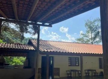 Imagem 1 · Sítio para venda em Vila Homero, São Paulo