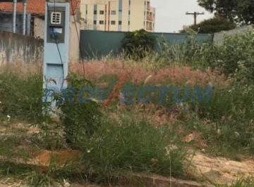 0 · terreno para aluguel em Vila Anhangüera