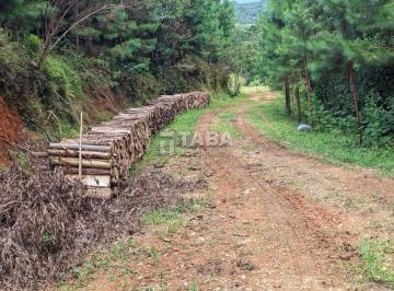 Rural · 20000m² · chacara a venda 
