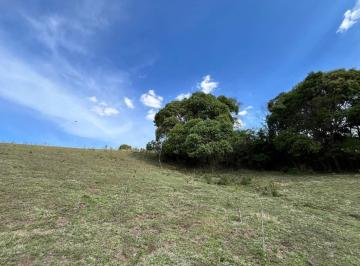 20251113140855461.jpg · Terreno Rural para Venda em Munhoz, Área Rural