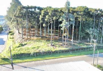 ff3770c6a4e0660ef060ec4760e8a511a4206f33.jpg · Terreno a venda no bairro Ana Rech