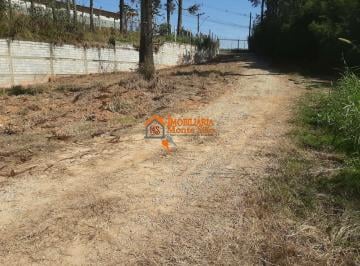 Terreno · 5000m² · Terreno à venda, 5000 m² por R$ 3.750.000,00 - Pimentas - Guarulhos/SP