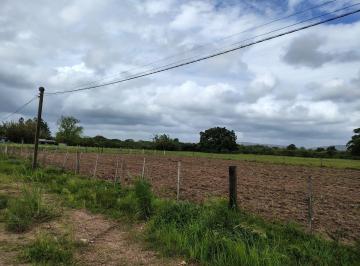 Rural · 1000m² · Sítio na Avenida Juca Batista.