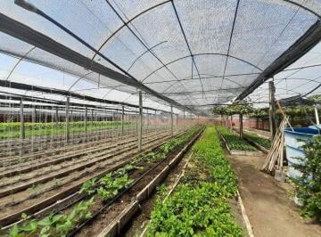 Terreno · 6629m² · SÍTIO DENTRO DE PORTO ALEGRE 6.629,10 metros quadrados de área no bairro Campo Novo.