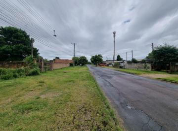 Terreno · 4500m² · Terreno Estrada Ponta Grossa com 4.500 metros