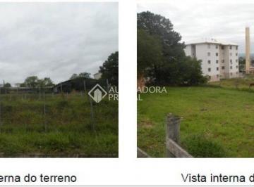 Terreno · 5680m² · Àrea de 5.680,00 m2 na Estrada da Ponta Grossa