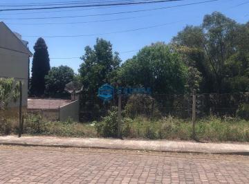 Terreno · 1137m² · TERRENO COM 1.137m² NO CINQUENTENÁRIO