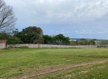 Terreno · 1000m² · Terreno en Condomínio para venda em Condomínio Serelepe de 1000.00m²