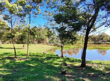 Rural · 7000m² · Chacara LInha Machadinho - Farroupilha RS