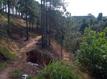 Terreno , Caieiras · Terreno a venda 6941m² para incorporador e construtoras em Vila Rosina - Caieiras - São Paulo SP