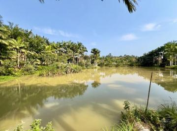 Imagem · 🚨🚨🚨 Oportunidade | Sítio com Lago e Fonte Mineral em Ilhota/SC