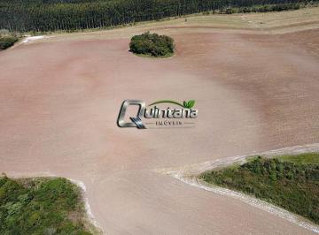 Rural · 810000m² · 81 Hectares em Mariana Pimentel, Área Produtiva, 70% lavoura