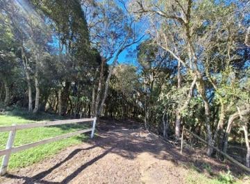 Imagem 1 · Fazenda para venda em São José dos Pinhais