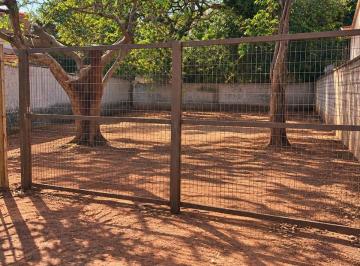 Imagem 1 · Terreno para venda em Formosinha, Formosa