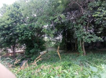 Terreno · 456m² · Terreno à Venda nos Ingleses - 456 m² ? Ideal para Construção de 5 Sobrados