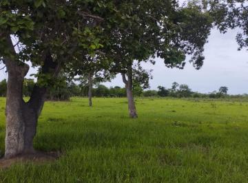Rural · Fazenda / 4080 hectares / Nova Crixás, GO
