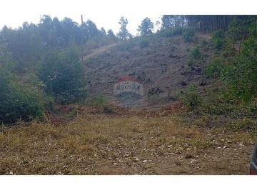Terreno · 1761m² · Terreno em Socorro à Venda: Natureza e Praticidade Unidas!