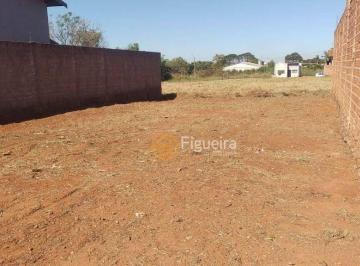 e3d1de406a0c4edc094323d368b80a0892371e3b · Terreno à venda, 204 m² por R$ 95.000,00 - São Francisco - Barretos/SP
