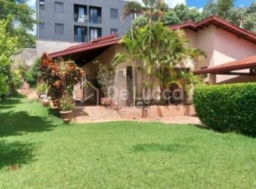 0 · casa para aluguel em Parque das Universidades