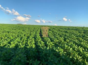 Imagem 1 · Fazenda para venda em Setor Central, Goiatins