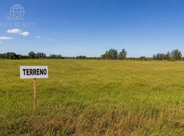 Imagem 1 · Terreno para venda em Governador Valadares