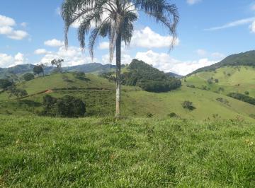 Imagem 1 · Sítio para venda em Delfim Moreira