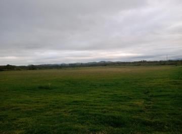 Imagem 1 · Fazenda para venda em Alto da Ponte, São José dos Campos