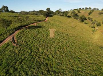 Imagem 1 · Fazenda para venda em Centro, São Luís de Montes Belos