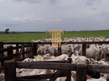 Imagem 1 · Fazenda para venda em Centro, Campo Grande