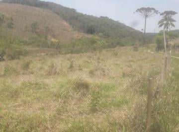 Imagem 1 · Sítio para venda em Centro, Paraibuna