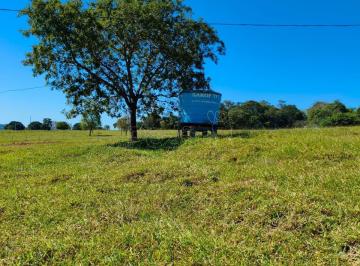Imagem 1 · Sítio para venda em Itapuranga