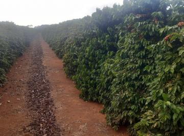 Imagem 1 · Fazenda para venda em Centro, Machado