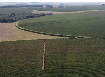 Imagem 1 · Fazenda para venda em Centro, Unaí