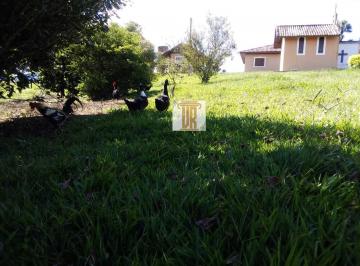 Imagem 1 · Sítio para venda em Área Rural de Caçapava, Caçapava