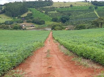 Imagem 1 · Fazenda para venda em Centro, Turvolândia
