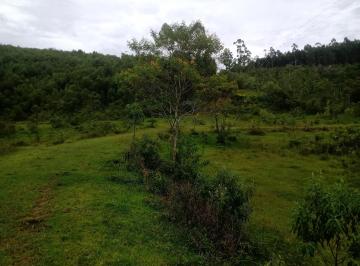 Imagem 1 · Sítio para venda em Centro, Paraibuna