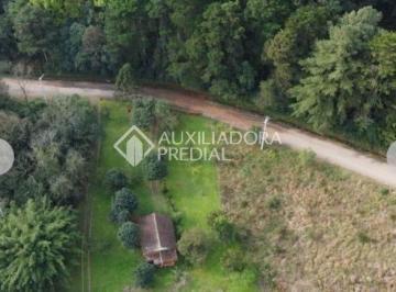 Terreno · 11250m² · TERRENO - NOVA PETROPOLIS - 11.250m²