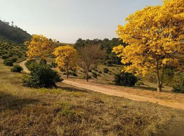 Imagem 1 · Sítio para venda em Centro, Turvolândia