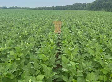 Imagem 1 · Fazenda para venda em Setor Central, Araguaína