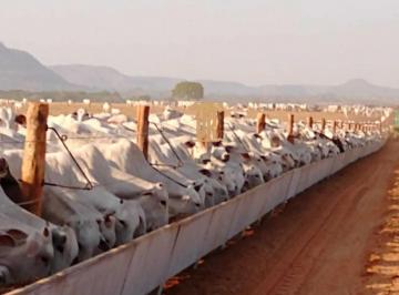 Imagem 1 · Fazenda para venda em Centro, Goiatins
