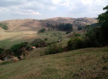 Imagem 1 · Fazenda para venda em Centro, Silveiras